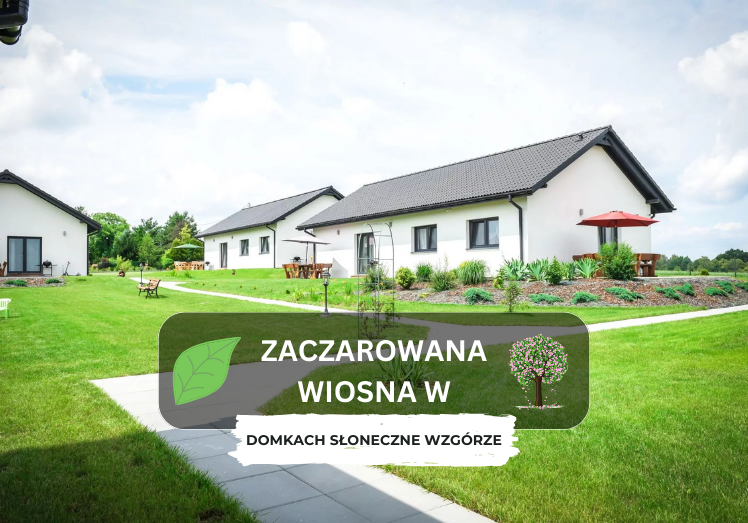 Zaczarowana wiosna w Zatorze – odkryj magię Słonecznego Wzgórza